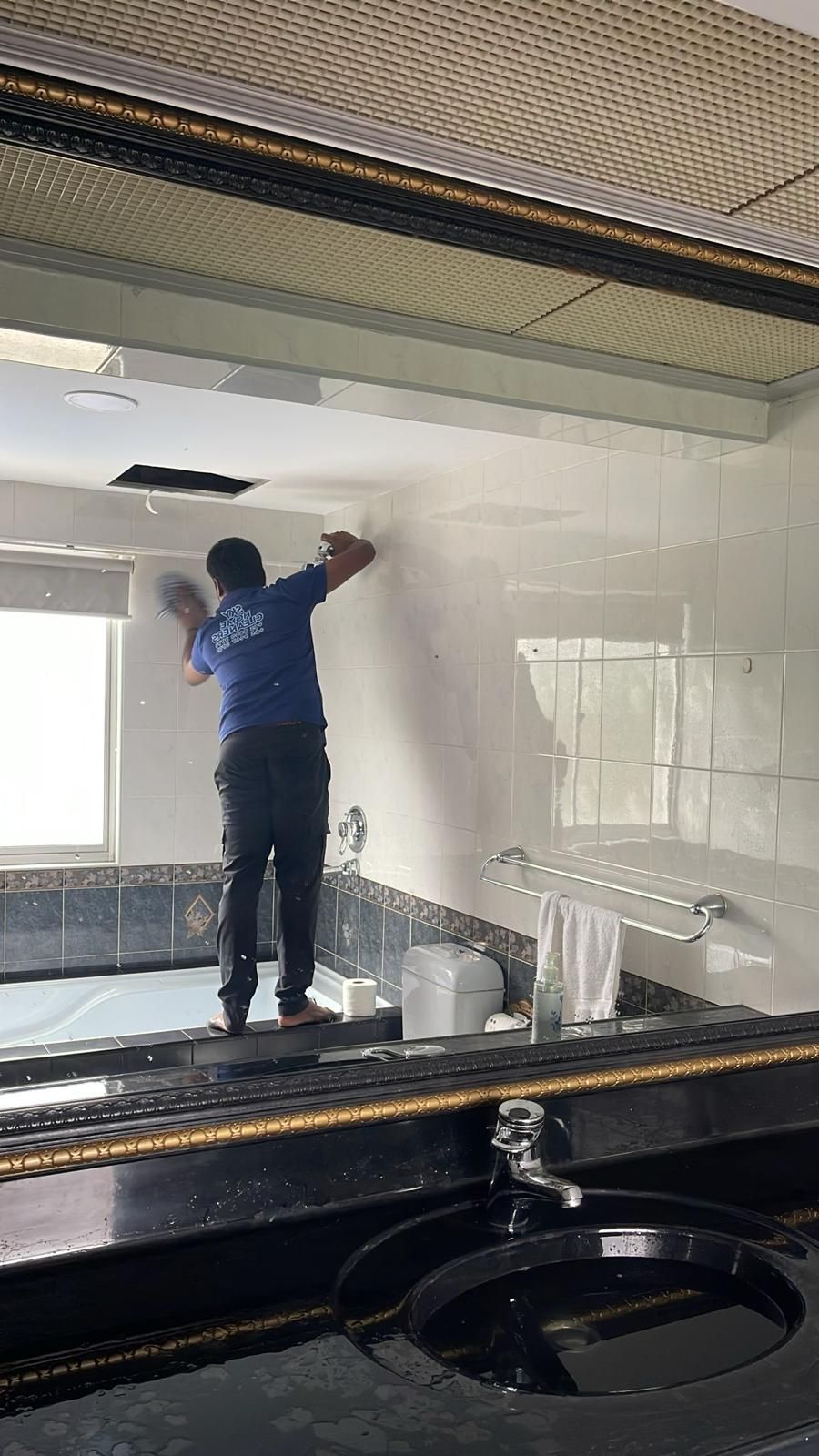 Professional home clean