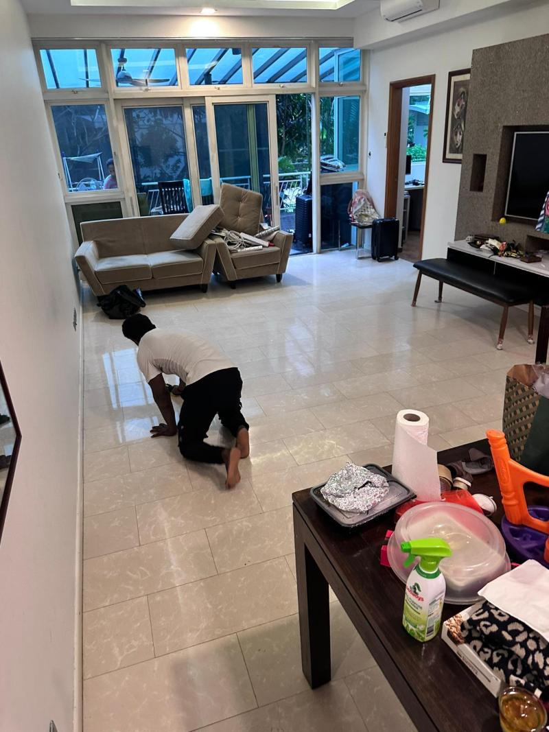 Professional cleaners